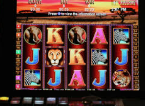 AG亚娱官方网站入口2024最新版